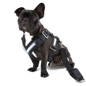 Škoda Hondenveiligheidsgordel Large 000019409C