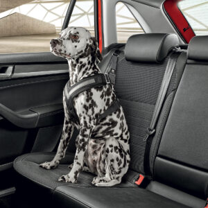 Škoda Hondenveiligheidsgordel Large 000019409C